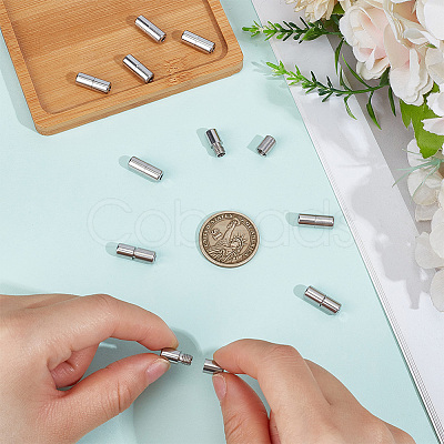 12Pcs Stainless Steel Screw Clasps STAS-BC0004-25C-1