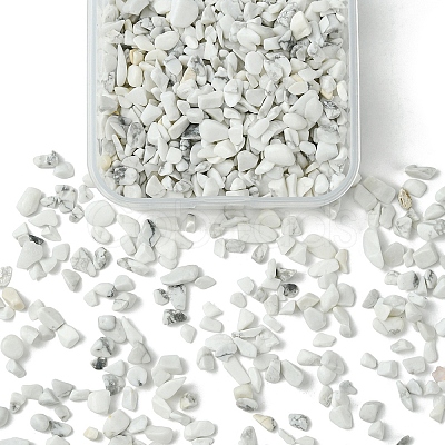 50G Natural Howlite Chip Beads G-YW0001-70-1