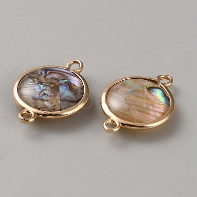 Flat Round Natural Paua Shell Resin Connector Charms BSHE-WH0004-16KCG-1
