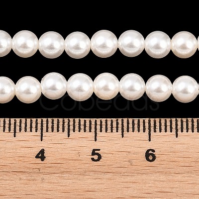 Electroplated Shell Pearl Beads Strands BSHE-C011-02-1