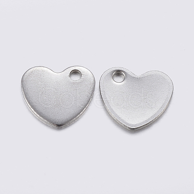 Tarnish Resistant 304 Stainless Steel Charms STAS-F159-78P-1