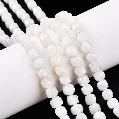 Natural White Shell Beads Strands SSHEL-N038-60-1