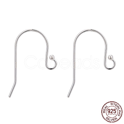 925 Sterling Silver Earring Hooks STER-G011-06-1