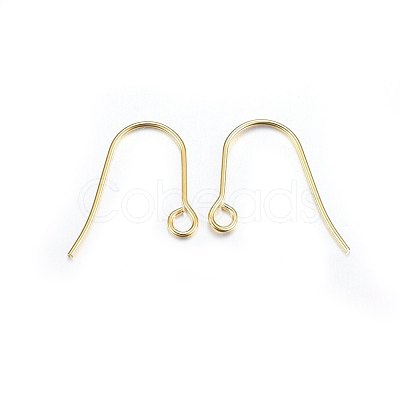 304 Stainless Steel Earring Hooks STAS-P210-21G-1