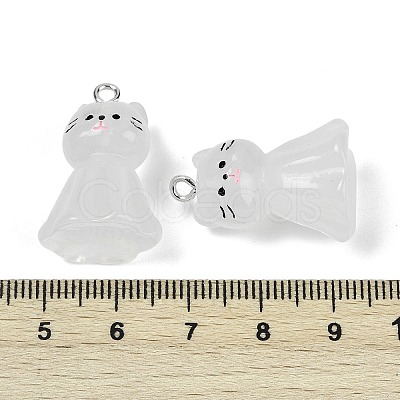 Luminous Resin Pendants X-RESI-R460-01A-1
