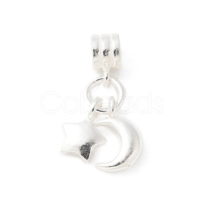 925 Sterling Silver European Dangle Charms STER-H115-01S-1