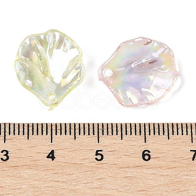 Transparent Acrylic Pendants TACR-F009-08-1