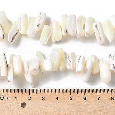 1 Strand Dyed Natural Trochus Shell Beads Strands SSHEL-PA0001-01B-1