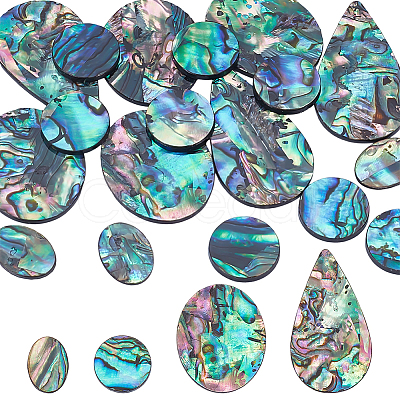 18Pcs 4 Styles Natural Paua Shell Cabochons SHEL-WR0001-10-1