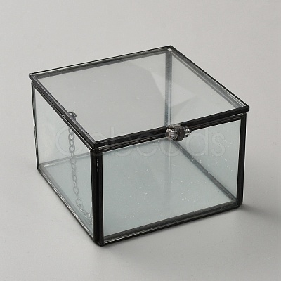 Cuboid Transparent Glass with Zinc Alloy Storage Box CON-WH0095-94-1