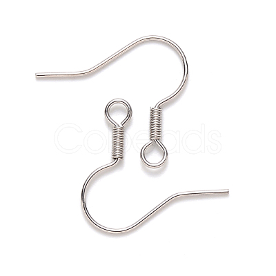Tarnish Resistant 304 Stainless Steel Earring Hooks STAS-S111-002-1