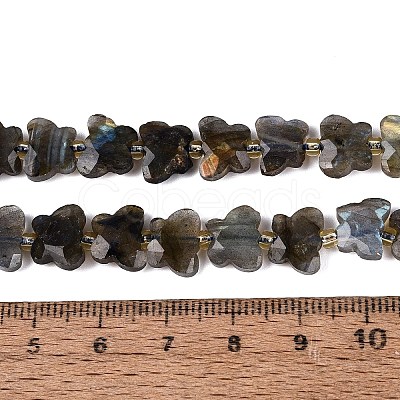 Natural Labradorite Beads Strands G-N371-10A-01-1