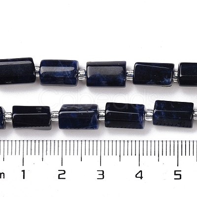 Natural Sodalite Beads Strands G-N327-06-28-1