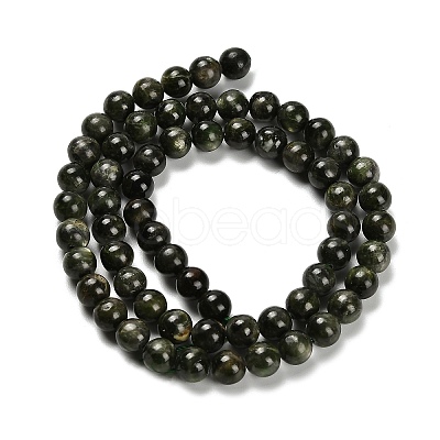 Natural Diopside Beads Strands G-R006-A01-03-1