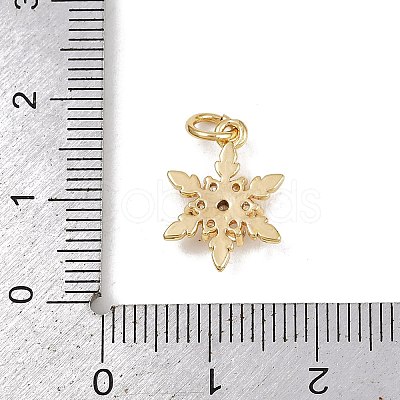 Brass Micro Pave Cubic Zirconia Charms LS-KK-H077-02G-05-1