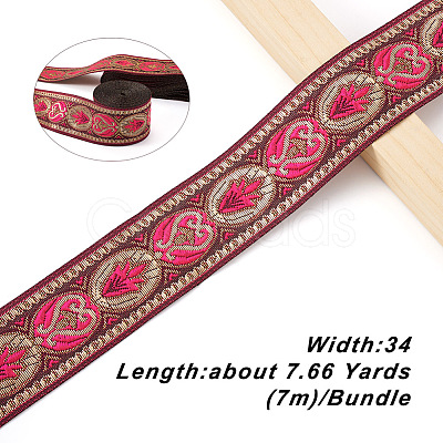 Ethnic Style Embroidery Polyester Ribbons SK-TAC0001-01-1