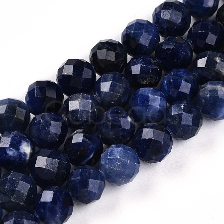 Natural Sodalite Beads Strands G-S345-10mm-26-1