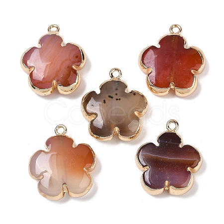 Natural Red Agate Pendants G-P566-01G-02-1
