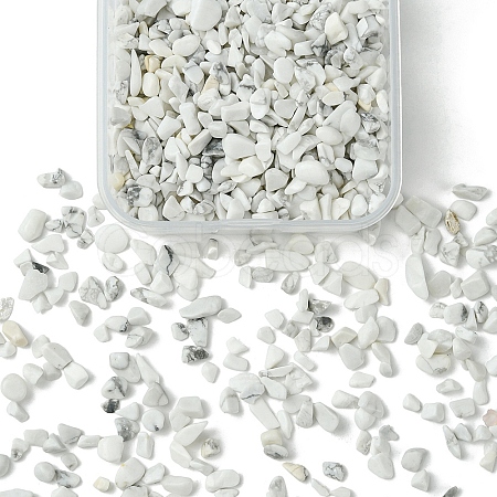 50G Natural Howlite Chip Beads G-YW0001-70-1