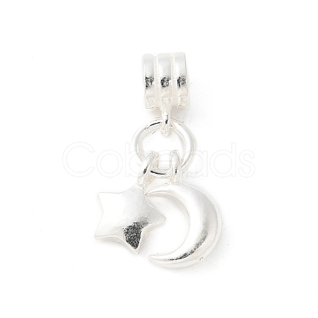 925 Sterling Silver European Dangle Charms STER-H115-01S-1