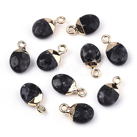 Natural Larvikite Charms X-G-N326-58A-1