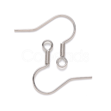 Tarnish Resistant 304 Stainless Steel Earring Hooks STAS-S111-002-1