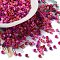 Baking Paint Glass Seed Beads, Cylinder, Medium Violet Red, 2.5x2mm, Hole: 1.4mm, about 45359pcs/pound