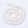 Natural Cultured Freshwater Pearl Beads Strands PEAR-R063-20-01A-2