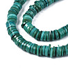 Natural Freshwater Shell Beads Strands X-BSHE-I016A-01D-2