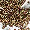 MIYUKI 3.4mm Drop Beads SEED-MY04-DP2035-2