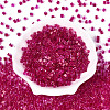 Transparent Inside Colours Glass Seed Beads SEED-T007-11C-1