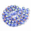 Handmade Lampwork Beads Strands LAMP-T007-03C-2