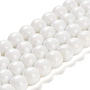 Painted Glass Bead Strands LS-DGLA-S071-12mm-01-1