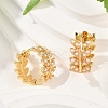 Leaf Brass Hoop Earrings KK-U058-64G-1