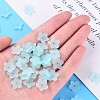 Transparent Acrylic Beads MACR-S373-118-D07-6