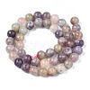 Natural Purple Red Tourmaline  Beads Strands G-N327-02B-01-3