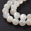Natural White Moonstone Beads Strands G-F306-05AB-8mm-5