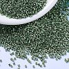 MIYUKI Delica Beads X-SEED-J020-DB1845-1