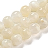 Natural White Moonstone Beads Strands G-F306-05AB-8mm-01-2