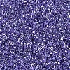 MIYUKI Delica Beads SEED-JP0008-DB0250-4