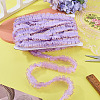 10M Double Layer Polyester Lace Ribbon OCOR-TA0004-14I-5
