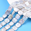 Baroque Natural Nucleated Pearl Keshi Pearl Beads Strands PEAR-S020-K09-2-1