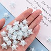 Transparent Acrylic Beads TACR-S152-11A-10-5