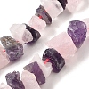 Natural Rose Quartz & Amethyst Beads Strands G-I283-F10-2
