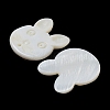 Natural Freshwater Shell Beads BSHE-P033-12-2