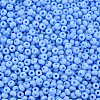 6/0 Glass Seed Beads SEED-T005-14-B20-3