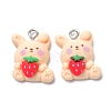 Resin Pendants X-RESI-G026-09-2