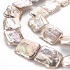 Natural Keshi Pearl Beads Strands PEAR-S020-K02-4