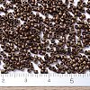 MIYUKI Delica Beads X-SEED-J020-DB1051-4