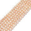 Natural Cultured Freshwater Pearl Beads Strands PEAR-E016-127-1